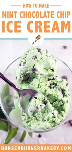 mint chocolate chip ice cream in a glass bowl