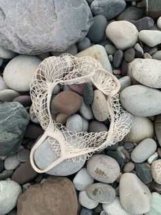 there is a sea net on the rocks by the water's edge with stones and pebbles around it