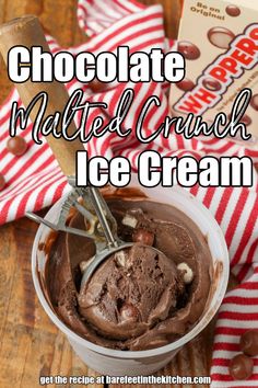 chocolate malted crunch ice cream in a bowl