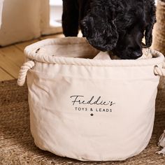 a black dog is playing with a toy in a white basket on the carpeted floor