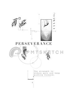 the cover for perseverancee, which is written in black and white