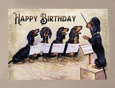 a group of dachshund dogs singing happy birthday to each other with sheet music