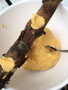 a white bowl filled with yellow substance next to a wooden stick on top of a table