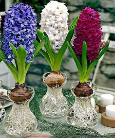 three vases with flowers in them sitting on a table