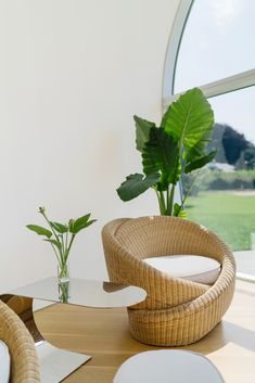 there is a table with chairs and a plant in it