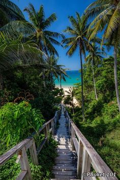 stairs leading down to the beach with palm trees on either side and blue water in the background