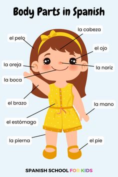 Your kids can learn Spanish with a smile with interactive Spanish lessons for kids like this video to learn body parts in Spanish - even if you know zero Spanish! Spanish lessons for children should be engaging for them & easy Spanish lessons for you to provide for your kids. Click the link for this video (and more free Spanish lessons online - perfect vritual Spanish lessons that are flexible for you) today! Spanish Words For Kids, Spanish Body Parts, Body Parts In Spanish, Preschool Spanish Lessons, Summer Education, Beginner Spanish Lessons, Teach Yourself Spanish, Free Spanish Lessons, Spanish Learning Activities