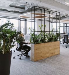 an office with plants in the middle of it