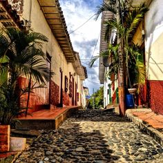 a cobblestone street with palm trees on either side