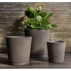 three pots with plants in them sitting on a table