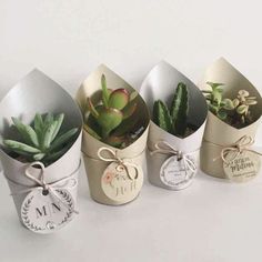 four small pots with succulents in them on a white surface, one has a tag and the other has a name