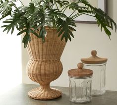 a potted plant sitting on top of a wooden table next to a jar filled with water