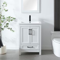 a bathroom with a toilet, sink and mirror on the wall next to a potted plant