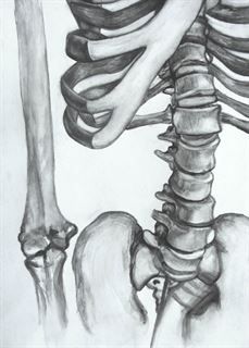 a drawing of a human skeleton with the upper arm and lower limb visible in black and white