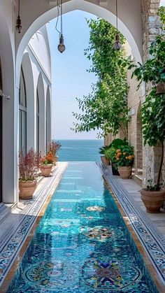 an outdoor swimming pool in the middle of a building with plants and flowers on either side