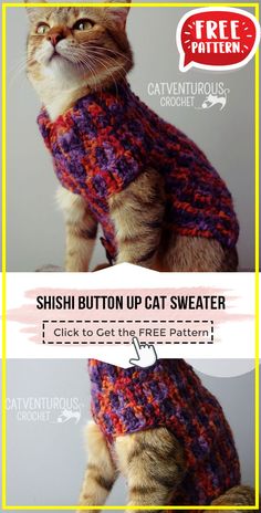 a cat wearing a sweater with the caption's free pattern for it to wear