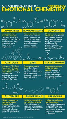 an info poster describing the different types of chemicals and how they are used to make them