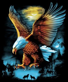 an eagle with its wings spread in front of the moon