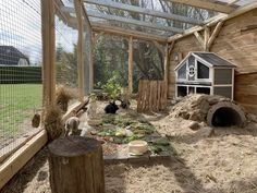 a chicken coop with two chickens in it and one on the ground next to an animal house