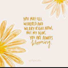 two yellow flowers with the words you may feel whiked and weary right now, but my dear, you are always blooming