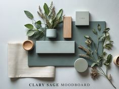 the clayy sage mood board is laid out on top of each other and surrounded by plants