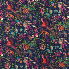 an image of a colorful floral pattern with birds and flowers on dark blue background for wallpaper