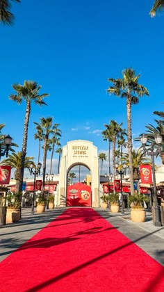 a red carpet is on the ground in front of palm trees and an entrance to a shopping center