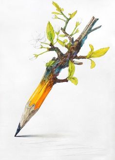 a pencil drawing of a tree branch with leaves and flowers on it's tip