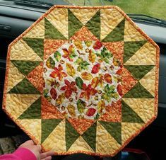 a person holding up a quilt in the back seat of a car with their hand on it