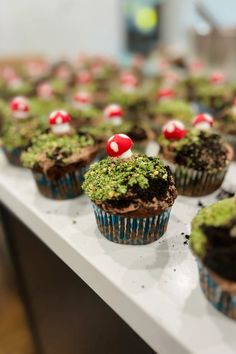 cupcakes with green and red decorations on top of a white table in a room