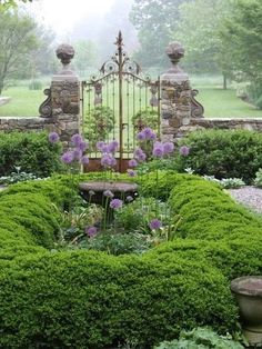 a garden with lots of green plants and purple flowers