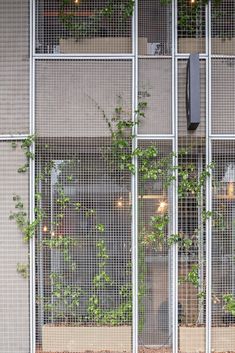 an outside view of a building with plants growing through the windows and on the ground