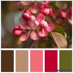 the color scheme is red, brown and green with pink flowers on it's branches