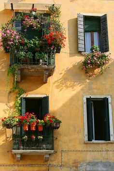 three windows with flower boxes on the side of a building in italy, one has red and pink flowers growing out of them