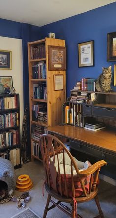 a cat sitting on top of a wooden desk next to a book shelf filled with books