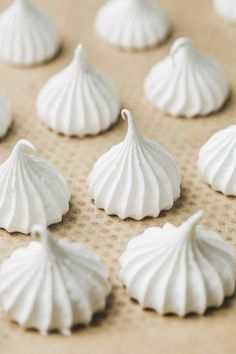 small white seashells sitting on top of a table