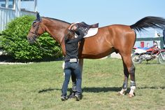 a woman standing next to a brown horse on top of a lush green field