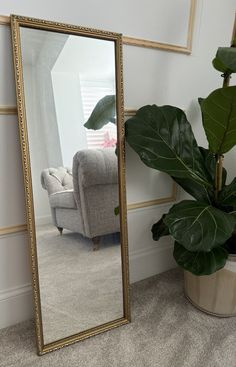 a large mirror sitting next to a potted plant on top of a carpeted floor