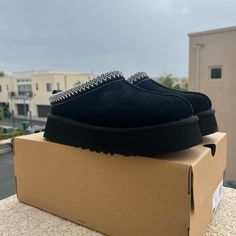 New, Size 9 Women’s, Platform, Black Color Black Suede Sneakers For Winter, Sporty Black Sneakers With Leather Footbed, Black Leather Footbed Slip-on Sneakers, Ugg Scuffette Slippers, Ugg Scuffette, Ugg Bailey Button, Ugg Tasman Slippers, Ugg Classic Ultra Mini, Red Slippers