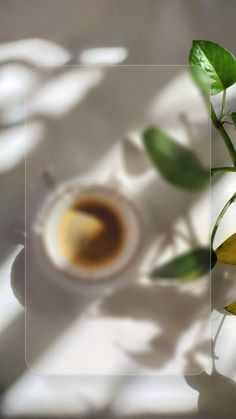 a cup of coffee sitting on top of a white table next to green leafy plants