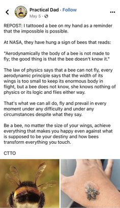 an article about bees on the side of a person's hand