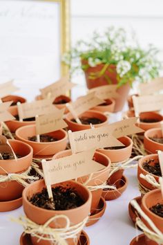 there are many potted plants on the table with small signs in each planter