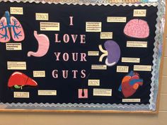 a bulletin board that has different types of guts on it with words and pictures attached to it