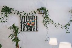 two plants are hanging on the wall next to a lamp and some pictures hung on the wall