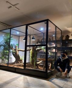 a man kneeling down in front of a glass case filled with plants and dinosaurs on display