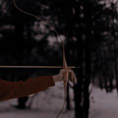 a person holding a bow and arrow in the woods with snow on the ground behind them