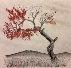 a drawing of a tree with red leaves on it's branches and the sky in the background