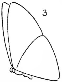 a drawing of an object that is upside down on its side, with the number 3 below it