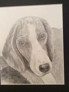 a drawing of a dachshund dog with its head turned to the side