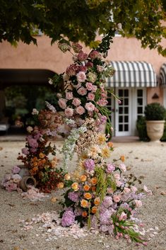 a bunch of flowers that are on the ground